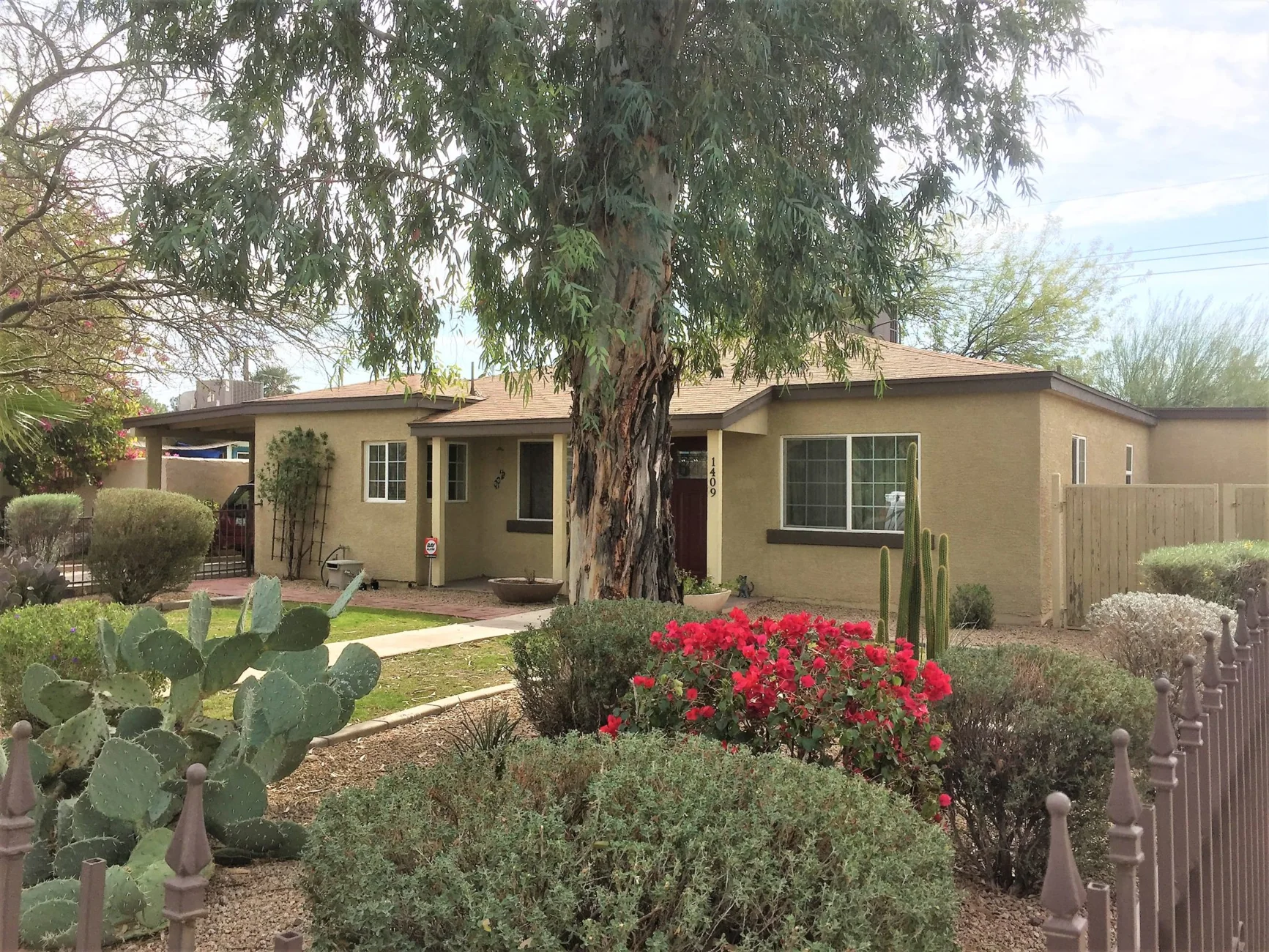 Low profile ranch home partly screened by a mature tree